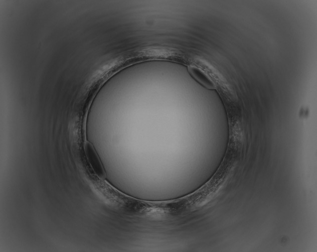 X0000095520352200801041228