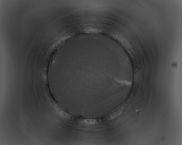 X0000095520353200801041228