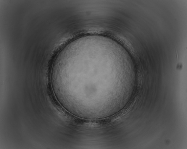 X0000095520354200801041228