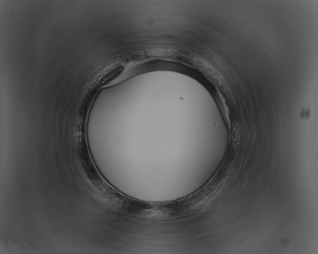 X0000095520356200801041228