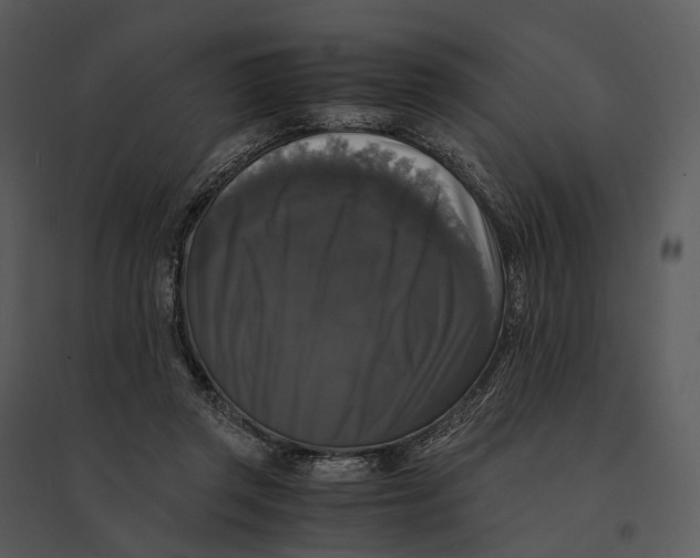 X0000095520357200801041228