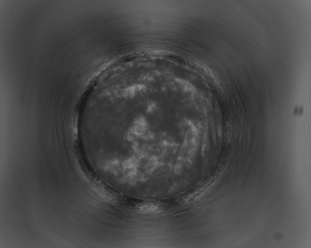 X0000095520358200801041228