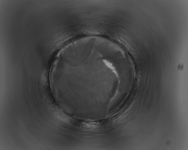 X0000095520359200801041228