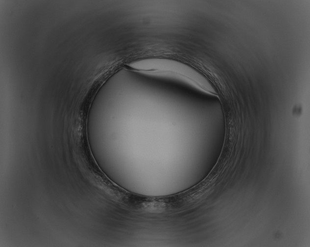 X0000095520362200801041228