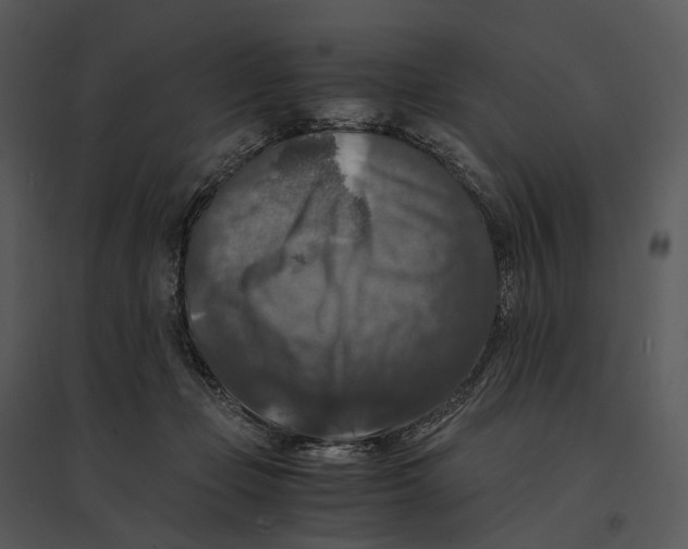 X0000095520365200801041228