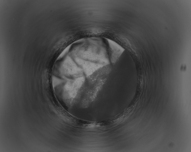 X0000095520366200801041228