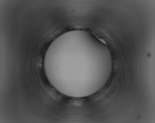 X0000095520368200801041228