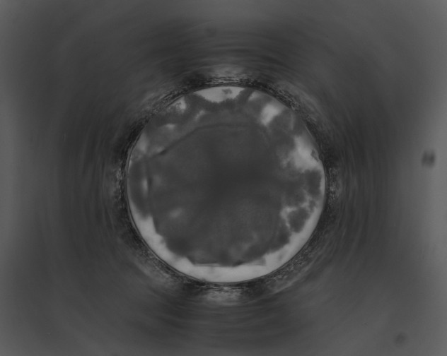 X0000095520369200801041228