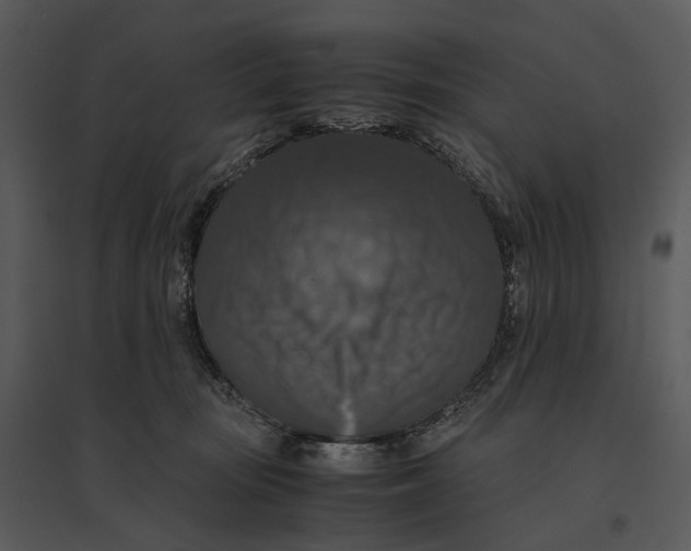 X0000095520371200801041228