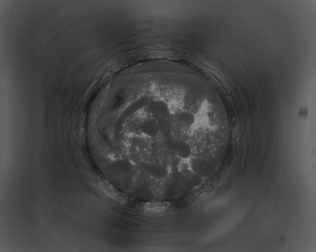 X0000095520373200801041228