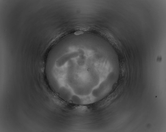 X0000095520374200801041228