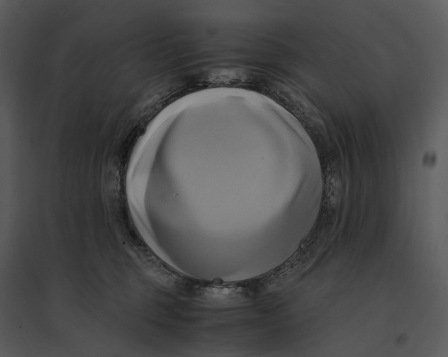 X0000095520375200801041228