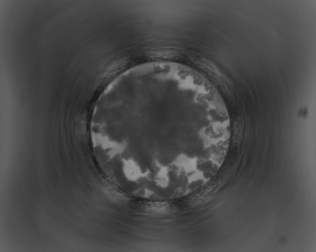 X0000095520377200801041228