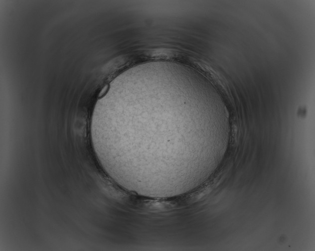 X0000095520379200801041228