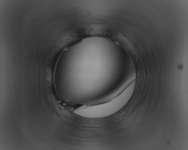 X0000095520380200801041228