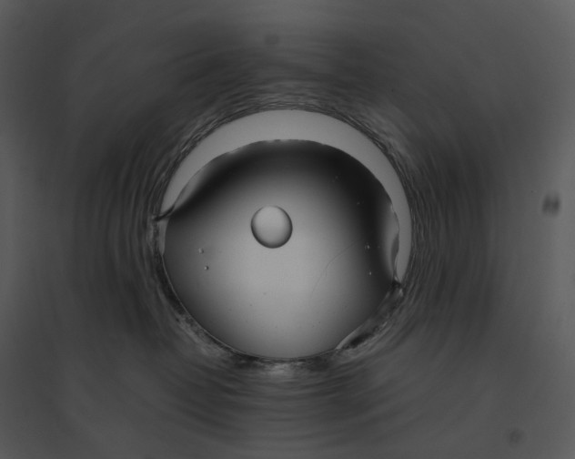 X0000095520382200801041228