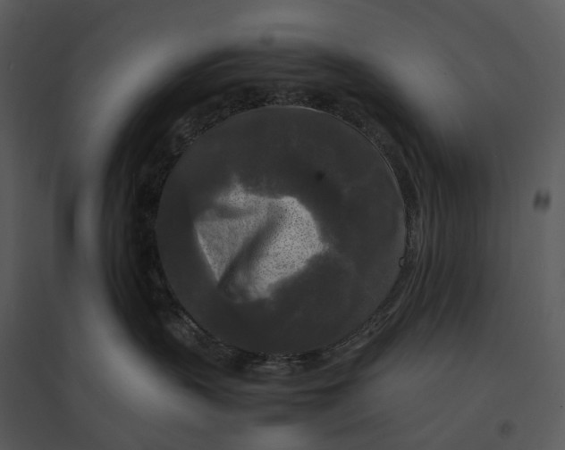 X0000095520383200801041228