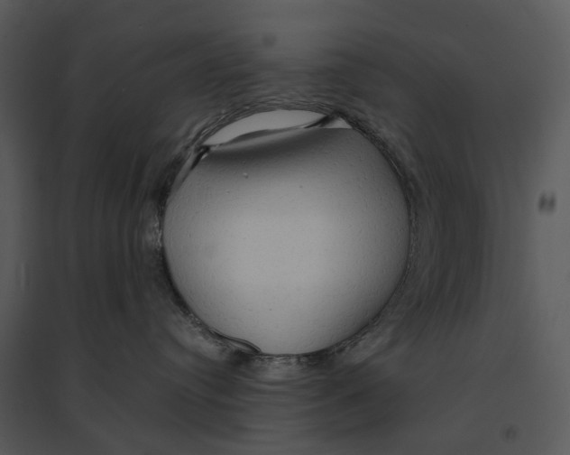 X0000095520384200801041228