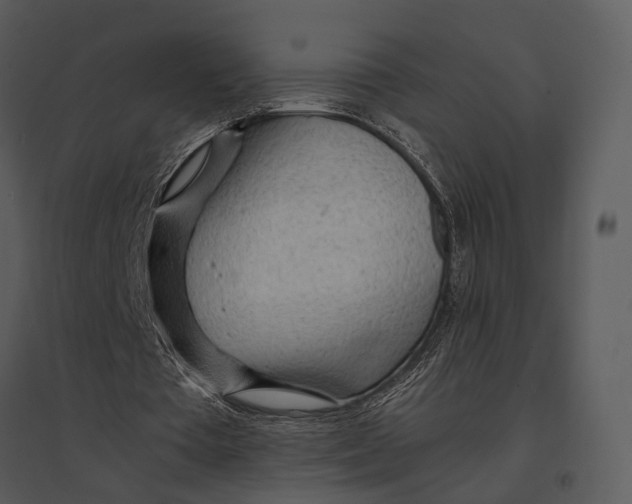 X0000095520385200801041228