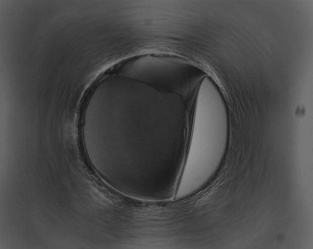 X0000095520387200801041228