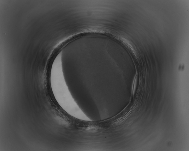 X0000095520388200801041228