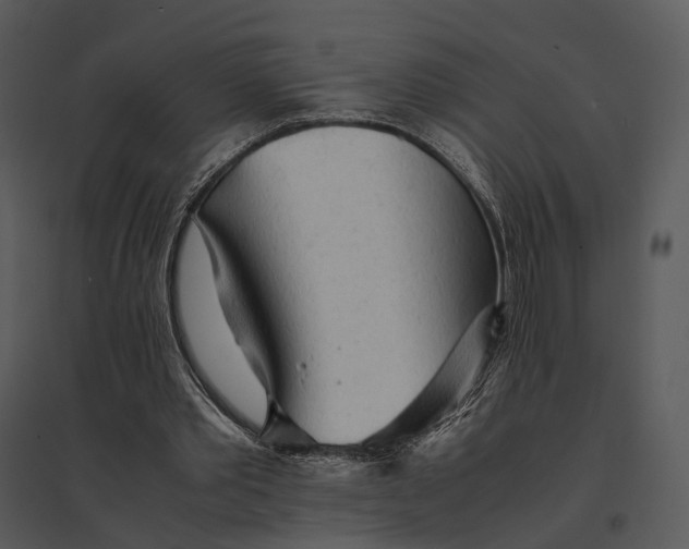 X0000095520389200801041228