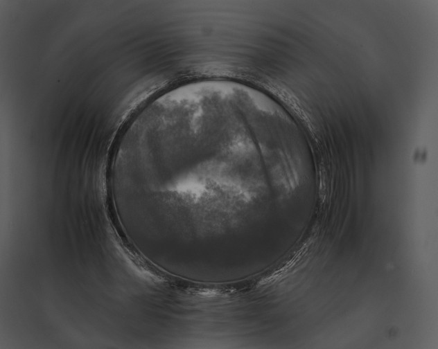 X0000095520390200801041228