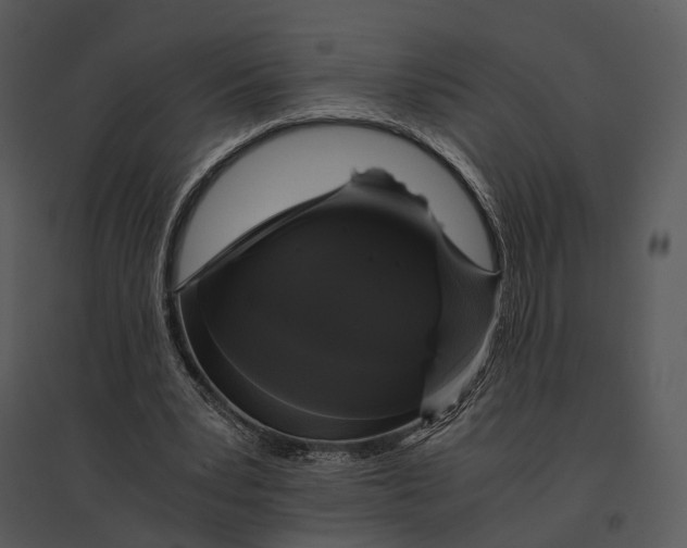 X0000095520391200801041228