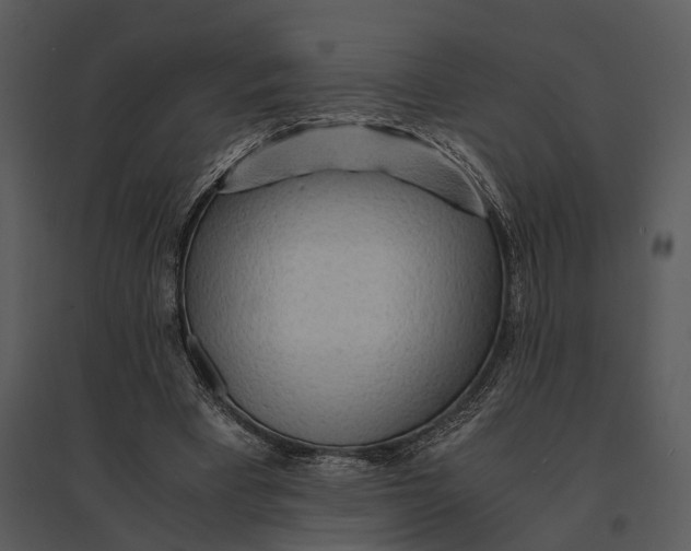 X0000095520393200801041228