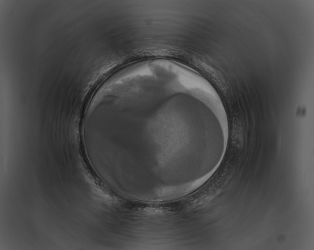 X0000095520394200801041228