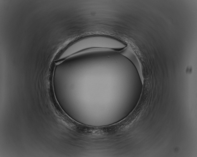 X0000095520395200801041228