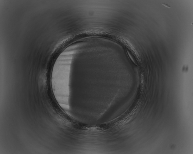 X0000095520396200801041228