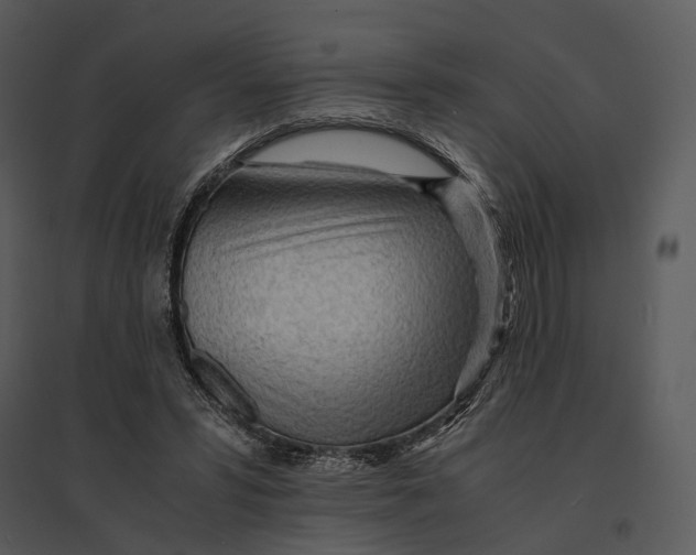 X0000095520399200801041228