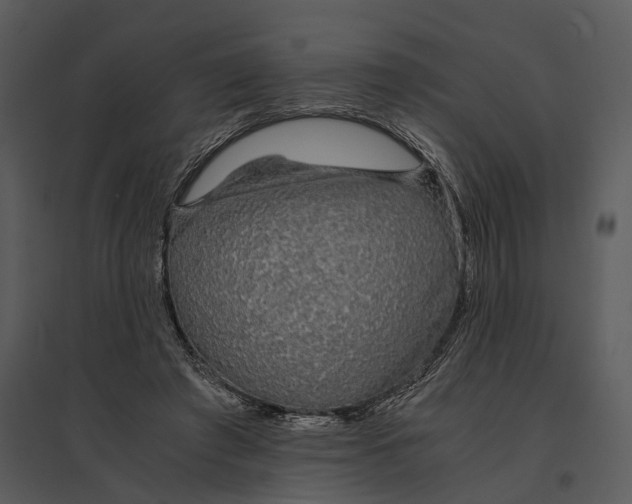 X0000095520401200801041228