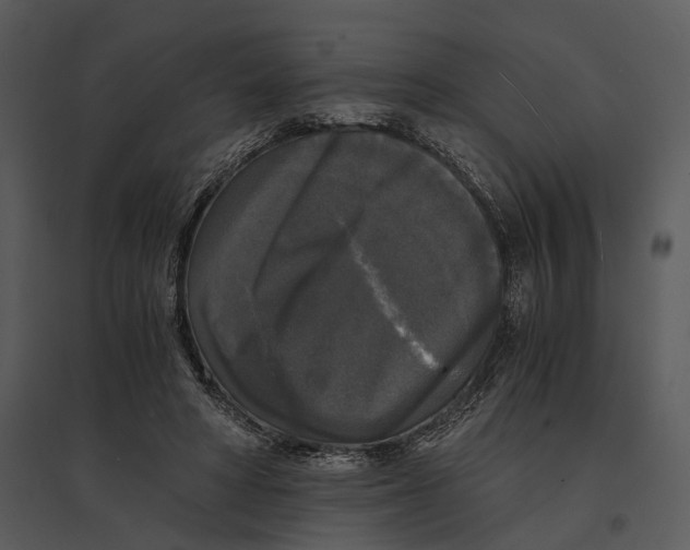 X0000095520402200801041228