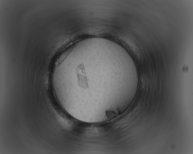 X0000095520404200801041228