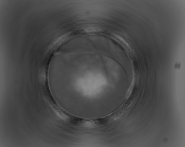 X0000095520405200801041228