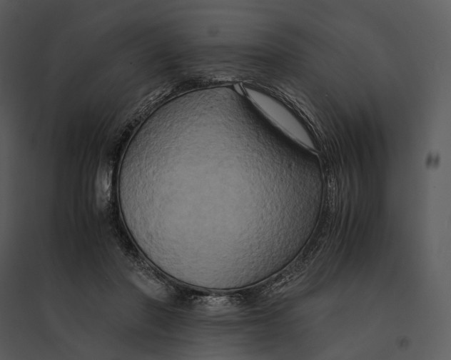 X0000095520406200801041227