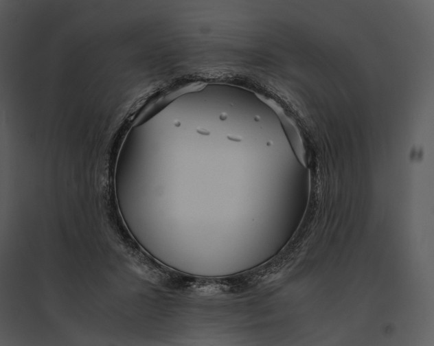 X0000095520407200801041227