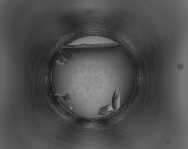 X0000095520408200801041227