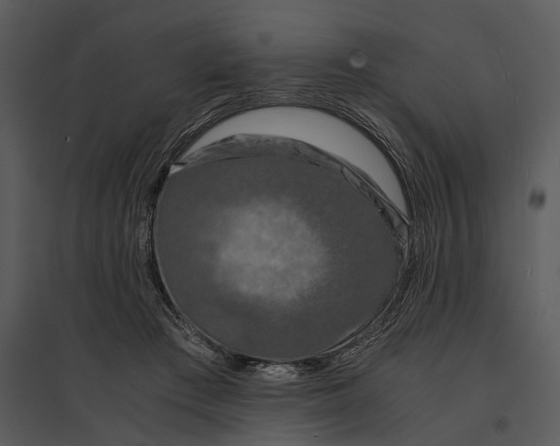 X0000095520409200801041227