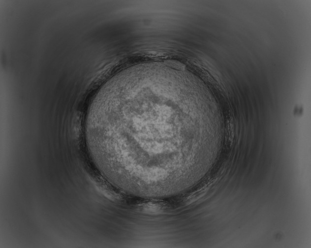 X0000095520412200801041227