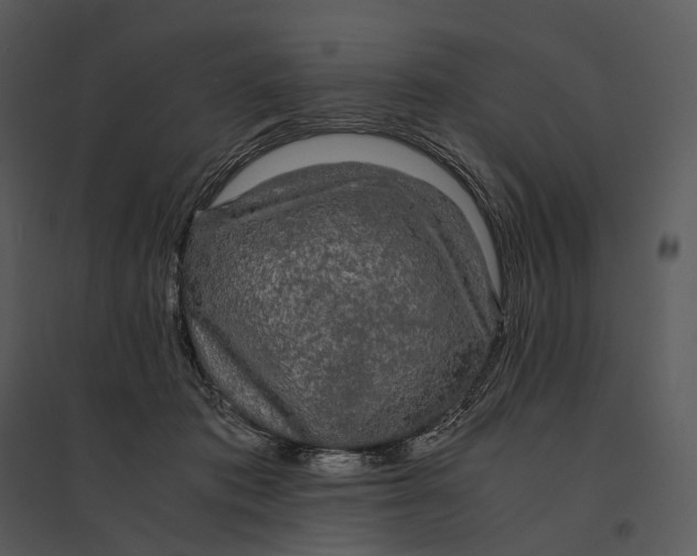 X0000095520413200801041227