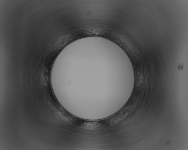 X0000095520414200801041227