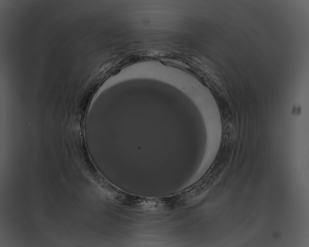 X0000095520415200801041227