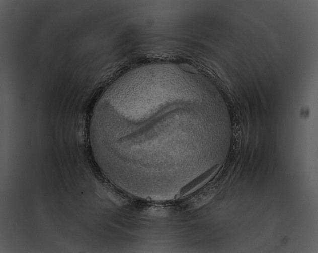 X0000095520416200801041227