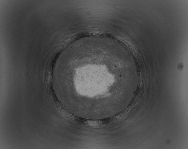 X0000095520417200801041227