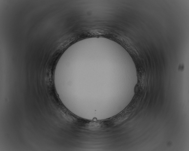 X0000095520418200801041227