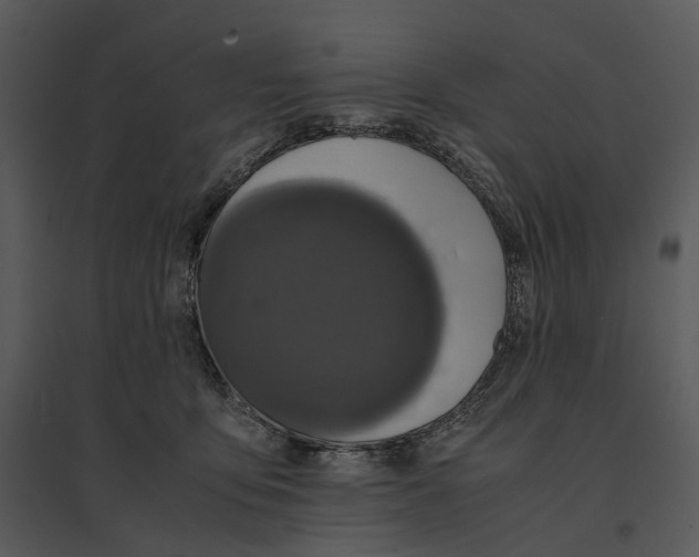 X0000095520419200801041227