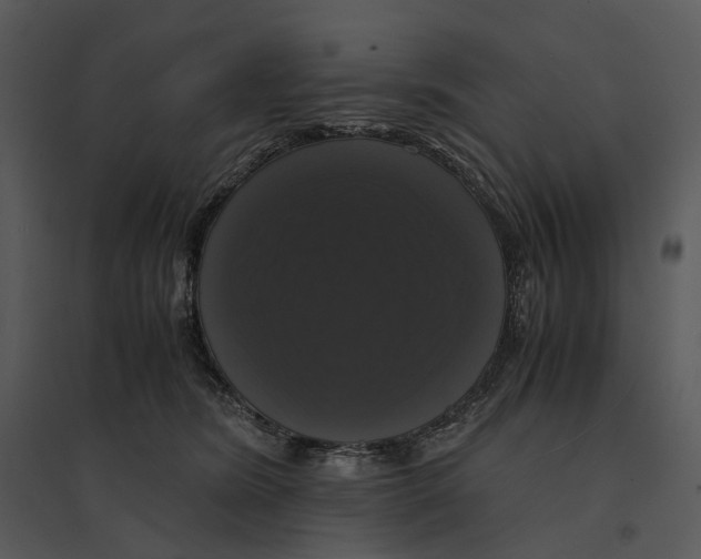 X0000095520420200801041227